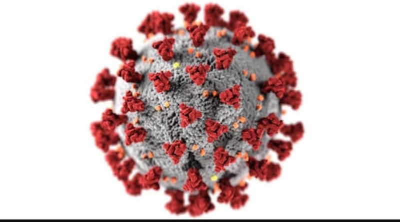 coronavirus