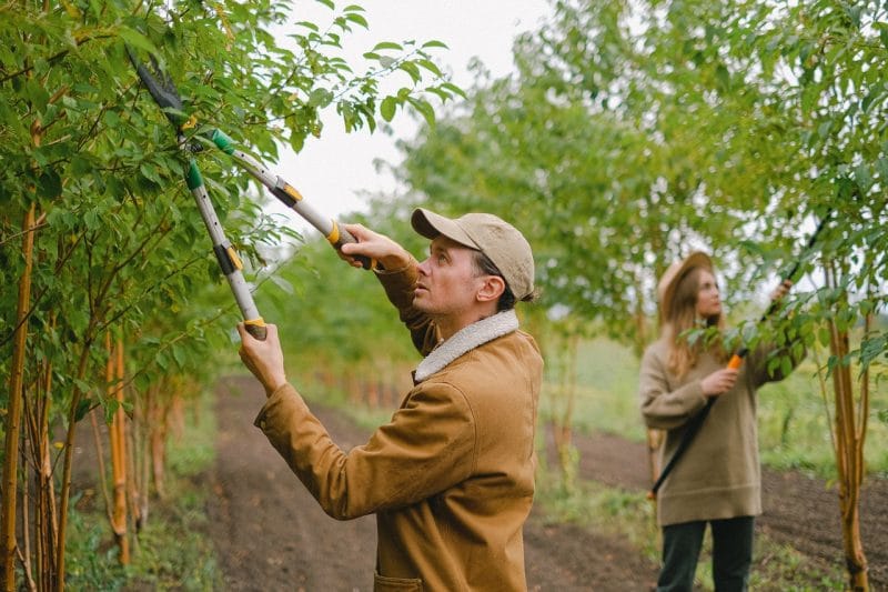 When Do Seasonal Jobs Start and End